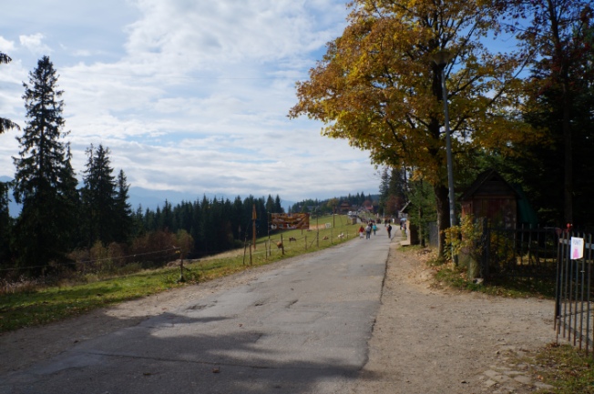 Path along the hilltop of Gubałówka 